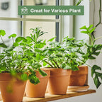 Orceler 6 inch Terracotta & Clay Pots - Image 7