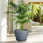 Ceramic Pot for Plants - Image 5