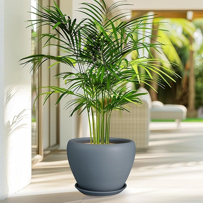 Ceramic Pot for Plants - Image 5