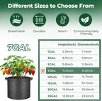 T4U Fabric Plant Grow Bags - Image 2