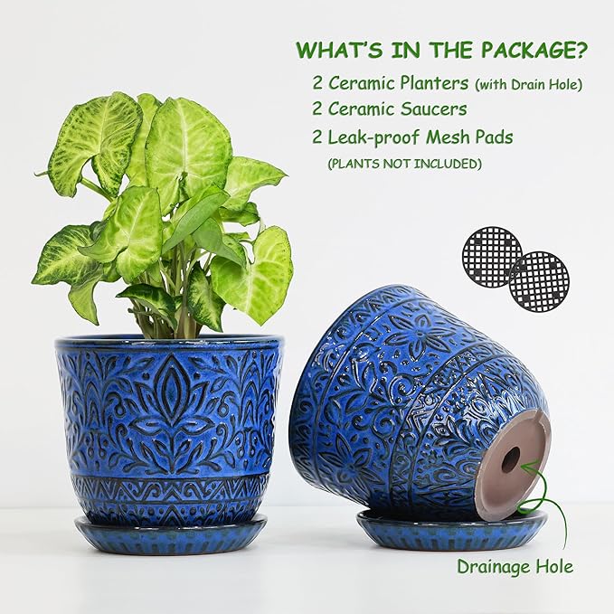 Gepege 6 Inch Ceramic Planter, Birthday - Image 3