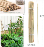 50Pcs / 2ft Bamboo Plant Stakes - Image 5