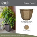 Classic Home and Garden Shaina Planting Pots - Image 2