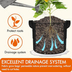 Gardzen 10-Pack 3 Gallons Grow Bags, Aeration Fabric Pots - Image 5