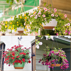 Mumufy 6 Pcs 8 Inch Hanging Planter - Image 6