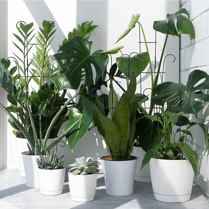 4P Plant Trellis for Potted Plants, Larger 23in Garden Trellis for Climbing - Image 9