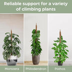 2 Pack 28'' Bendable Moss Pole Monstera Plant Support - Image 4