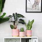 Gepege Pink Indoor Plant Pots for Plants, Ceramic Planter - Image 4