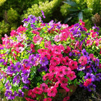 Artificial Flowers for Outdoor, UV Resistant Fake Silk Flowers, Realistic Faux - Image 5