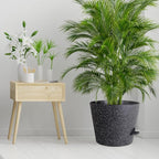 12 inch Large Self Watering Pots, Plant Pots - Image 7