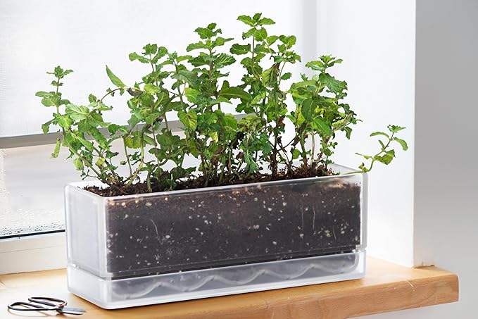 D'vine Dev 12 Inch Window Box Planter, Rectangle Plastic Herb Planter - Image 3