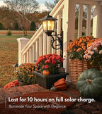PASAMIC 2 in 1 Outdoor Flower Pots - Image 7