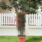 2 Pack 6Ft Tall Garden Obelisk Trellis - Image 5