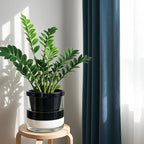 D'vine Dev 10 Inch Design Self Watering Planter - Image 2