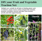 Sukh Garden Plant Trellis Netting - Image 7