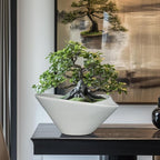Bonsai Pots 13 Inch - Image 8