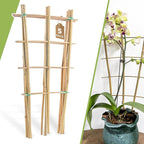 5 Pack 16" Bamboo Trellis for Climbing Plants-Natural Garden Ladder Fan -Shaped by Biotolot