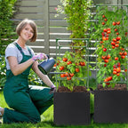 ANPHSIN 2 Sets Tomato Cages - Image 6