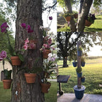 Terracotta Pot Hangers for 4-9in Clay Pots, Anti-Rust Iron Wall Plant Hangers - Image 6