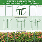LEOBRO 24 Inch Plant Support Stakes, Peony Cages and Supports, Garden Stakes - Image 7