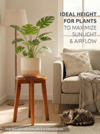 Demigo 15-Inch Tall Plant Stand - Image 5