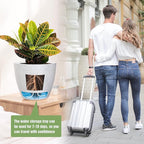 Large Self Watering Pots, 12/10/9 Plastic Planters - Image 6
