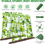 Cucumber Trellis for Raised Bed, U-Shape Garden Trellis for Climbing Plants - Image 4