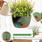 Hanging Planters for Indoor Plants - Image 4