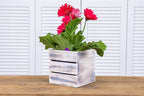 Wood Planter Box with Wine Crate Styled, 5 Inch Square, Plastic Liner, Garden - Image 4