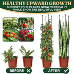 Garden Trellis, Tomato Cage Tall Plant Support Climbing Vines Flowers Stands - Image 7