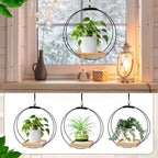 Geelin 4 Pack Plant Hanger - Image 3