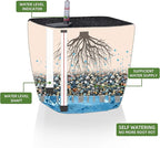 Dexceder 15x14 Self Watering Planter - Image 2