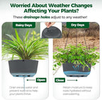 T4U 10 Inch Hanging Planters for Indoor Outdoor Plants, Hanging Plant Pot Pack - Image 5