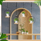 Geelin 4 Pack Plant Hanger - Image 4