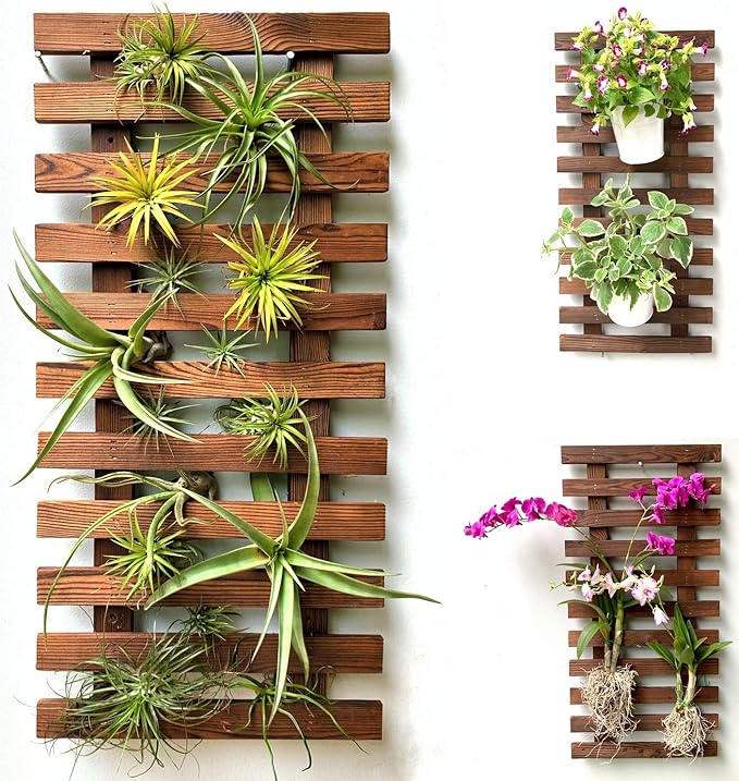 ShopLaLa Wall Planter by ShopLaLa