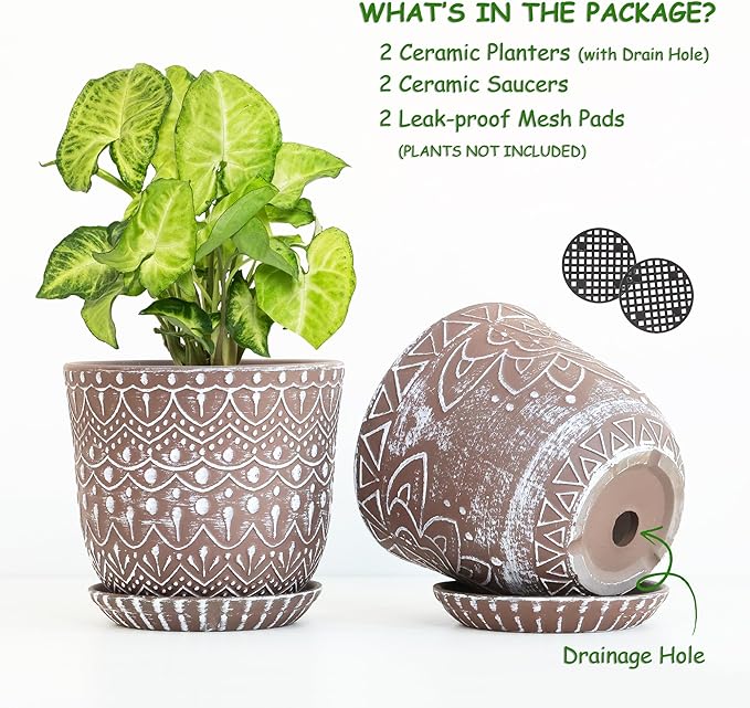 Gepege Ceramic Planter, 6 Inch Plant Pot - Image 3