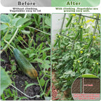 Cucumber Trellis for Raised Bed, Garden Arch Trellis for Climbing Plants Outdoor - Image 5