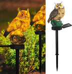 Dazzle Bright 1 Pack Owl Figure Solar LED Lights, Resin Garden Waterproof by DazzleBright