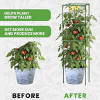 Tomato Cage Square - Image 5