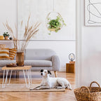 Hanging Planters for Indoor Plants - Image 6