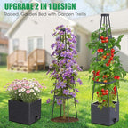 2-Pack Tomato Planter with Trellis, Tomato Cages - Image 4
