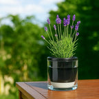 D'vine Dev 6 Inch Design Self Watering Planter - Image 7