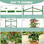 Legigo 2-Pack Tomato Cage for Garden Plant Support - Image 4