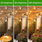 LED S14 Replacement Light Bulbs - Image 3