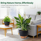 T4U 3 Pack Self Watering Pots - Image 2