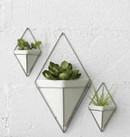 Umbra Trigg Hanging Planter Vase Wall Decor, Faux Plants, and More - Image 14