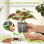 MIXC Thickened Clear Nursery Pots - Image 3