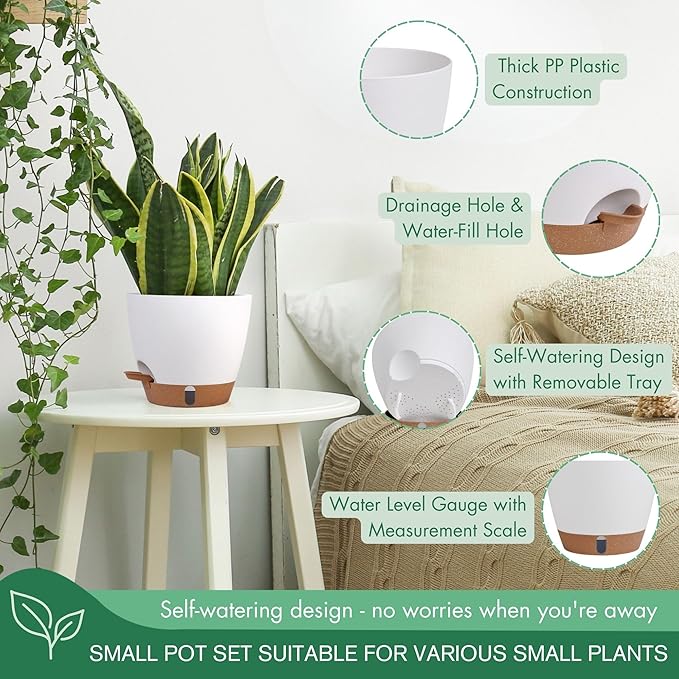 montresor 5-Pack Self-Watering Planters - Image 4