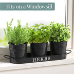 Barnyard Designs Indoor Herb Garden Planter Set - Image 3