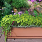 Southern Patio 36 in Medallion Hanging Windowsill Garden Box Planter, Terracotta - Image 4